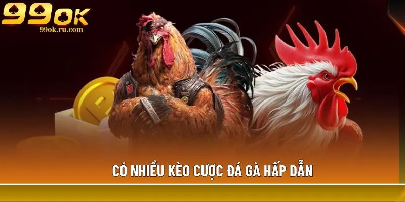Đá gà cựa dao: Hình thức cá cược siêu hấp dẫn tại 99OK 3 Có nhiều kèo cược đá gà hấp dẫn