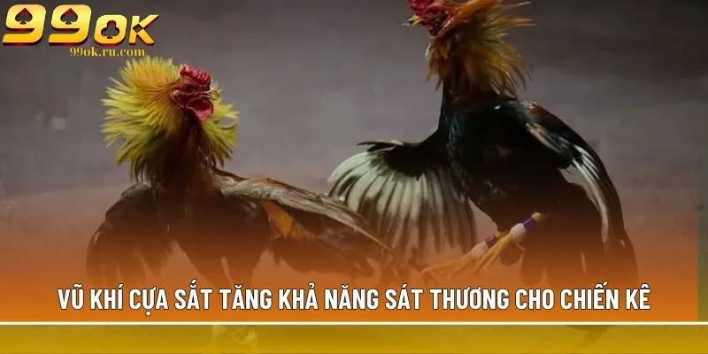 Đá gà cựa sắt 99OK với đa dạng kèo cược hấp dẫn nhất 2 Vũ khí cựa sắt tăng khả năng sát thương cho chiến kê